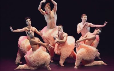 Spectacle : Tutu danse dans tous ses états